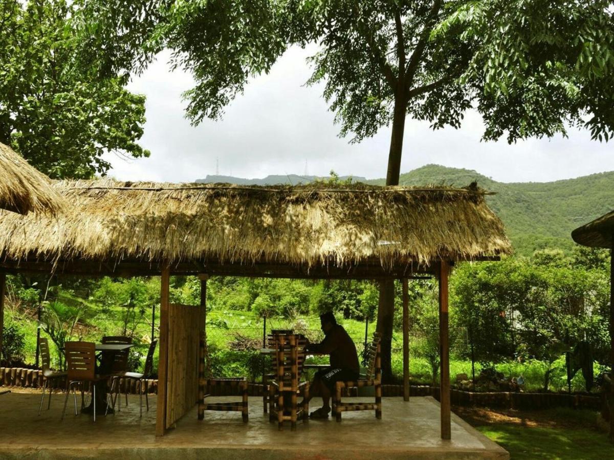 Wood Resort